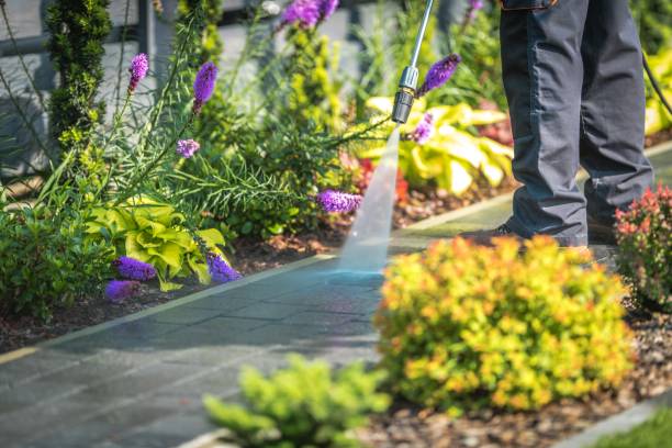 Best Pool Deck Cleaning  in Edgemont Park, MI