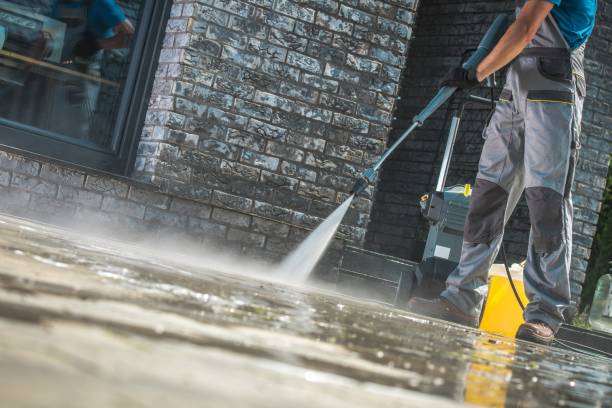 Best Pre-Holiday Cleaning  in Edgemont Park, MI