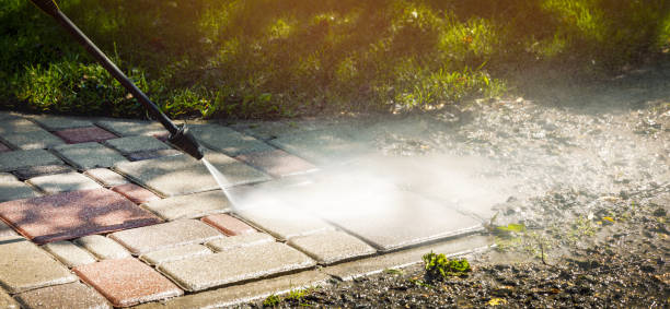 Best Rust Removal  in Edgemont Park, MI